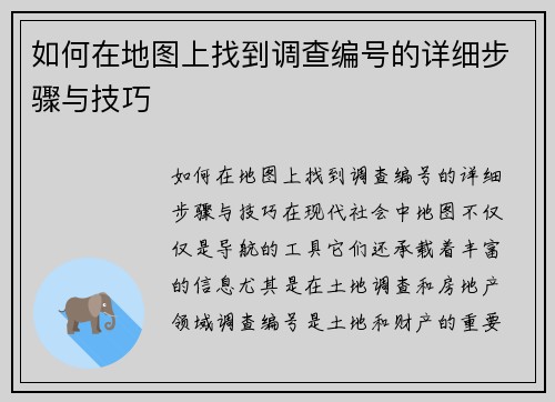 如何在地图上找到调查编号的详细步骤与技巧